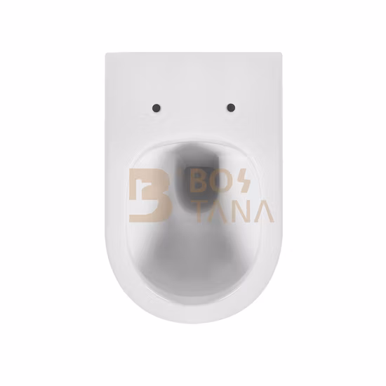 Beliebte Design-Sanitärkeramik-Wand